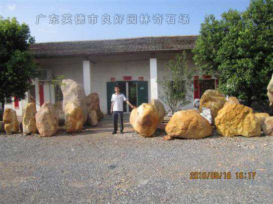 参考景观石