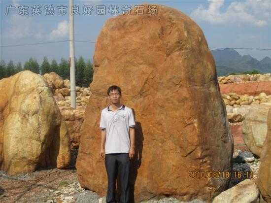 参考景观石
