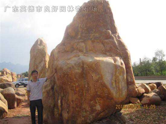 参考景观石