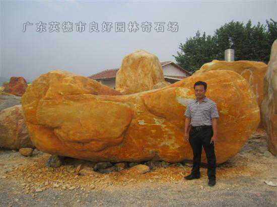 参考景观石