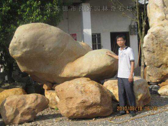 参考景观石