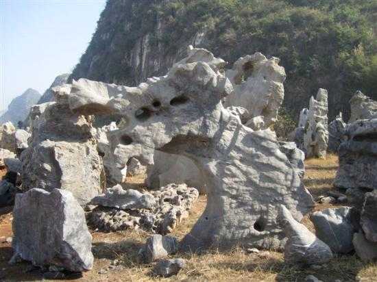 太湖石