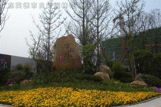 工程案例
