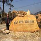 园林石工程案例--佛山禅城区龙光房地产有限公司