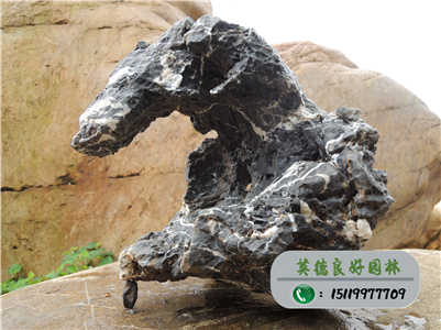 广东园林石--青龙石厂家