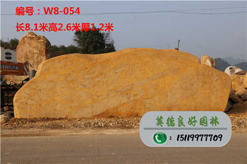 广东景观石生产商W8-054