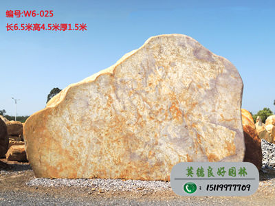 广东黄蜡石--大型黄蜡石厂家直销W6-025(已售)