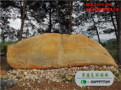 大型风景园林黄蜡景观石W5-004