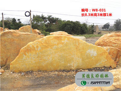 广东黄蜡石--黄蜡石基地直销、校园景观石W8-031