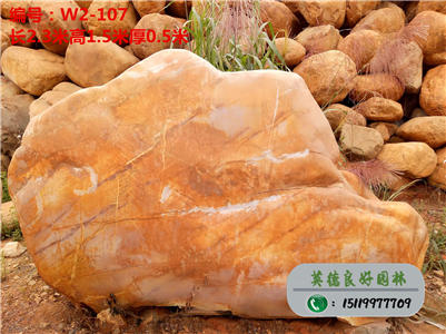 黄蜡石批发--广东景观石招标、自然黄蜡石价格w2-107(已售)