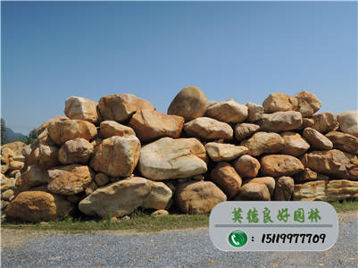 黄蜡石--景观设计专用黄腊石、园林石厂家批发