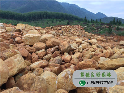 广东黄蜡石--驳岸石价格、溪流石批发