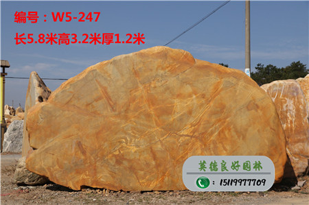 大型校园黄蜡石W5-247