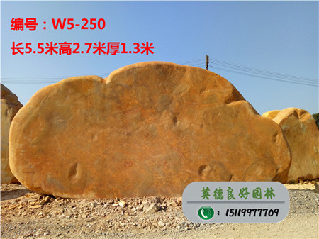 大型校园景观石W5-250