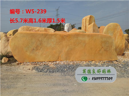 大型黄蜡石批发W5-239