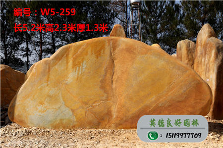 广东黄蜡石价格W5-259