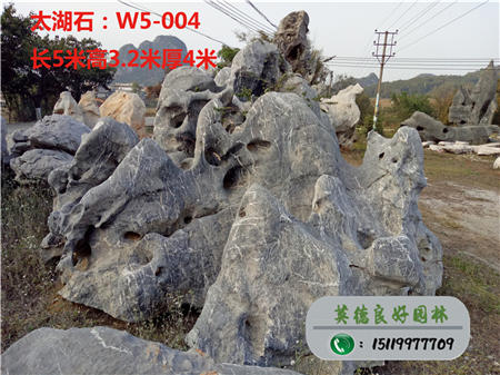 广东太湖石厂家供应TW5-004