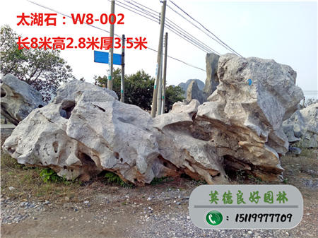 大型园林石销售太湖石TW8-002