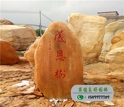 广东黄蜡石--濠江中学家长会赠石--感恩楼