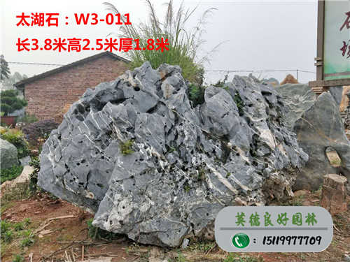 广东太湖石W3-011