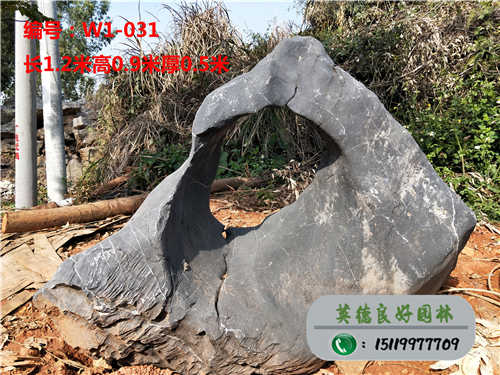 小区太湖石W1-031